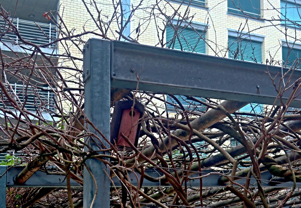 05. Februar 2023 - Im städtischen Wohngebiet aus Backstein, Beton und Stahl ein Nistkasten. Ob ihn die Vögel auch finden? 