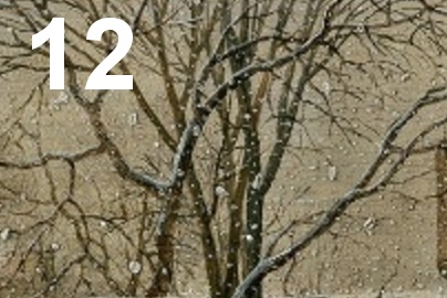 Tor 12 - Totale 12