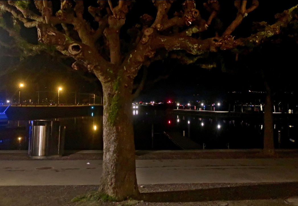 17. Februar 2023 - In der Ferne rauschen See und Wind..