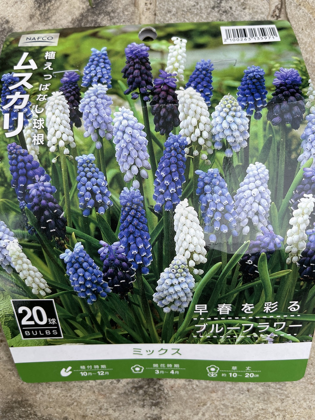 【名古屋市　植木の植え替え】スウェーデンハウスさんのおうちの庭木の入れ替えをしました！　2022-11-14