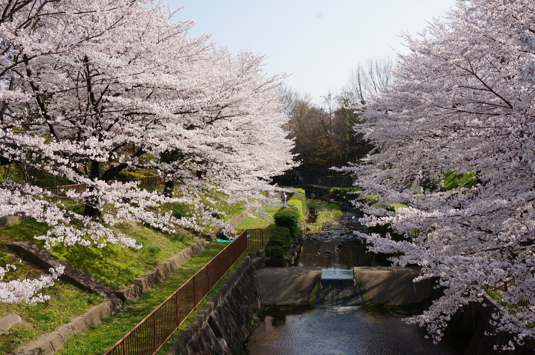 個人的ベスト6 守山区の近くでお花見をするならココ 15 4 1 名古屋の洋風外構 イングリッシュガーデンは柴垣グリーンテック株式会社 個人的ベスト6 守山区の近くでお花見をするならココ 15 4 1 名古屋の洋風外構 イングリッシュガーデンは柴垣グリーンテック株式会社