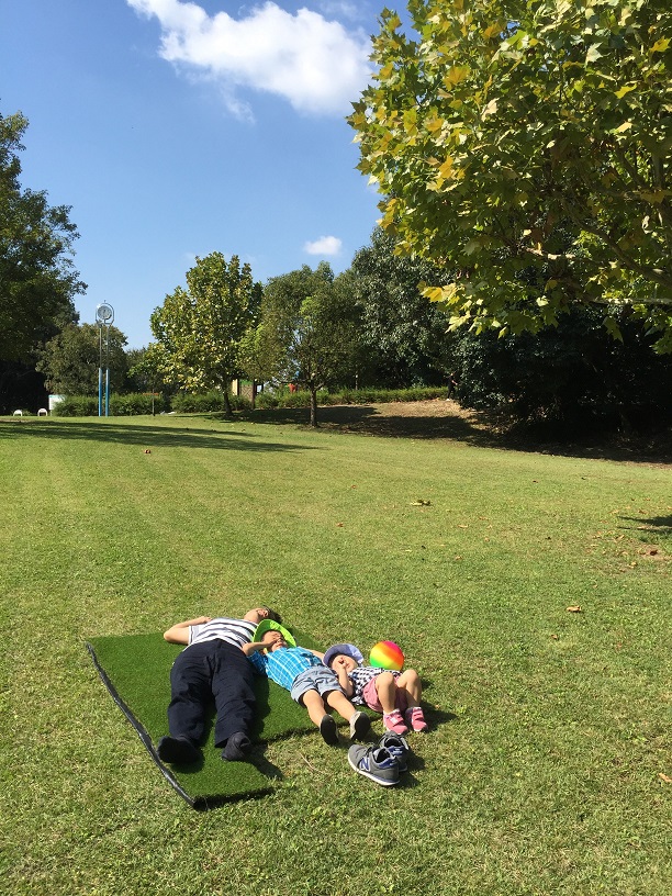 公園の芝生の上で寝転ぶ柴ちゃんとチビ達。