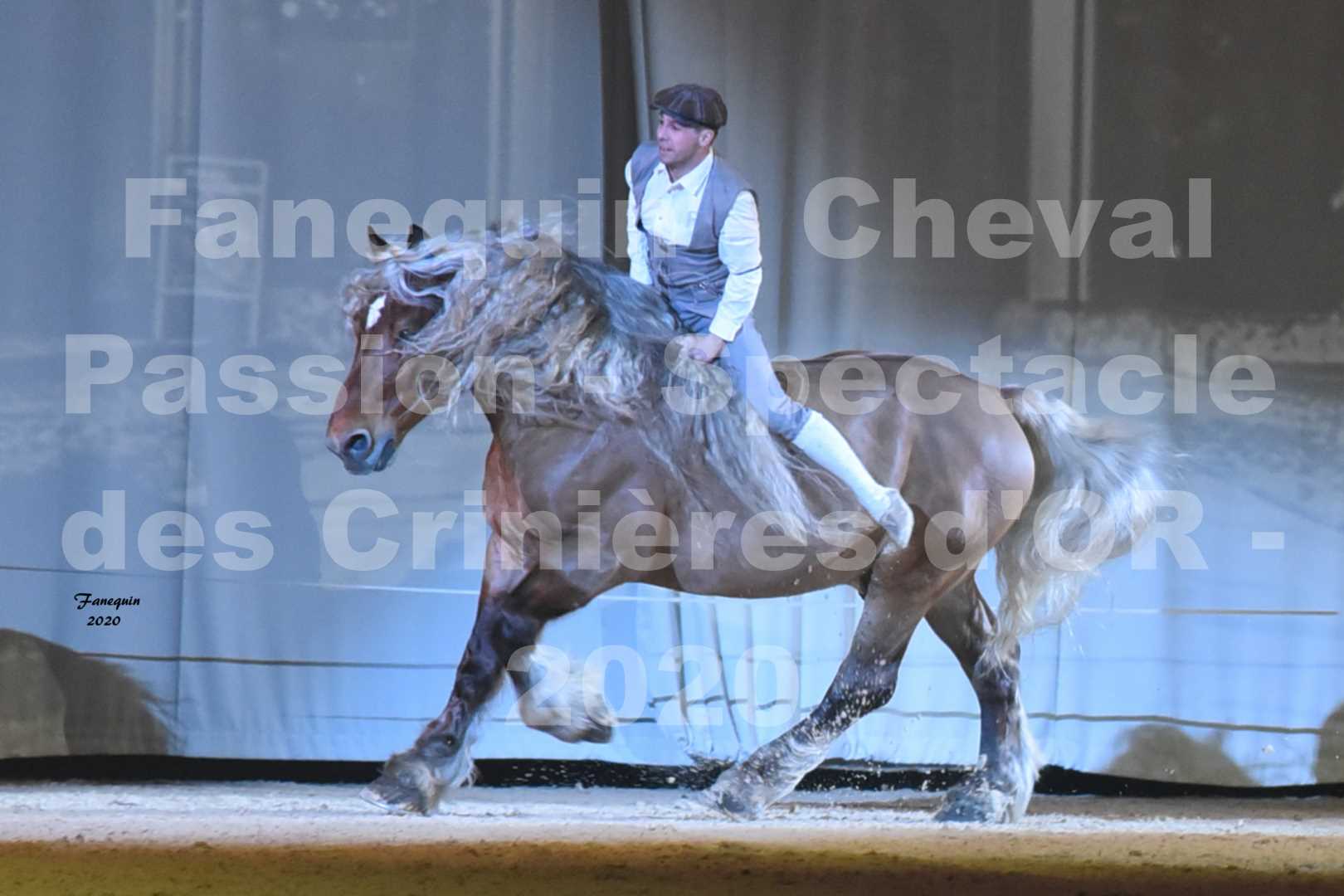 Cheval Passion 2020 - Les Crinières d'OR - Samuel HAFRAD & Jérôme SEFER - 17