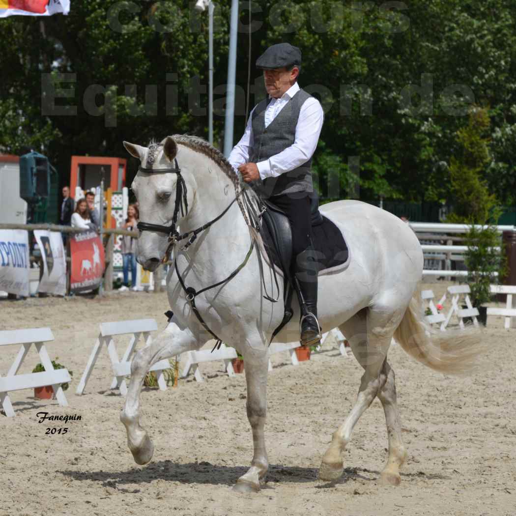 Salon Equitaine de Bordeaux 2015 - Concours d'Equitation de Travail avec chevaux Ibériques - X - 6