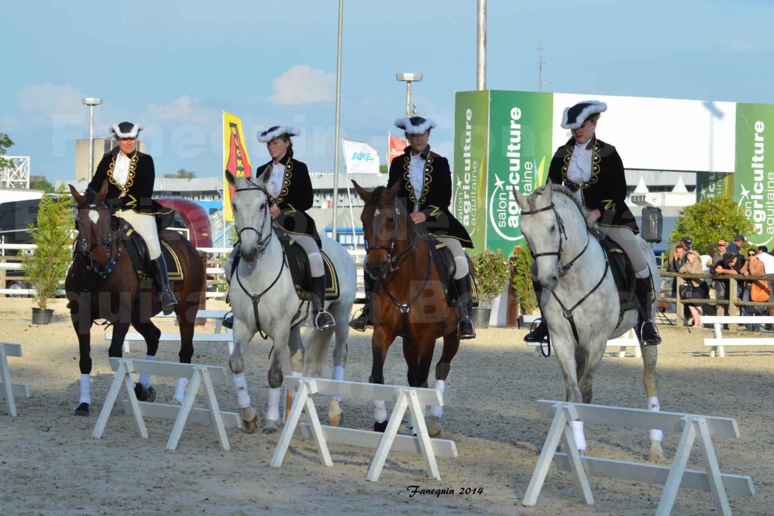 Carrousel de cavalières Equitation de travail lors du salon "Equitaine" à Bordeaux en 2014 - 15