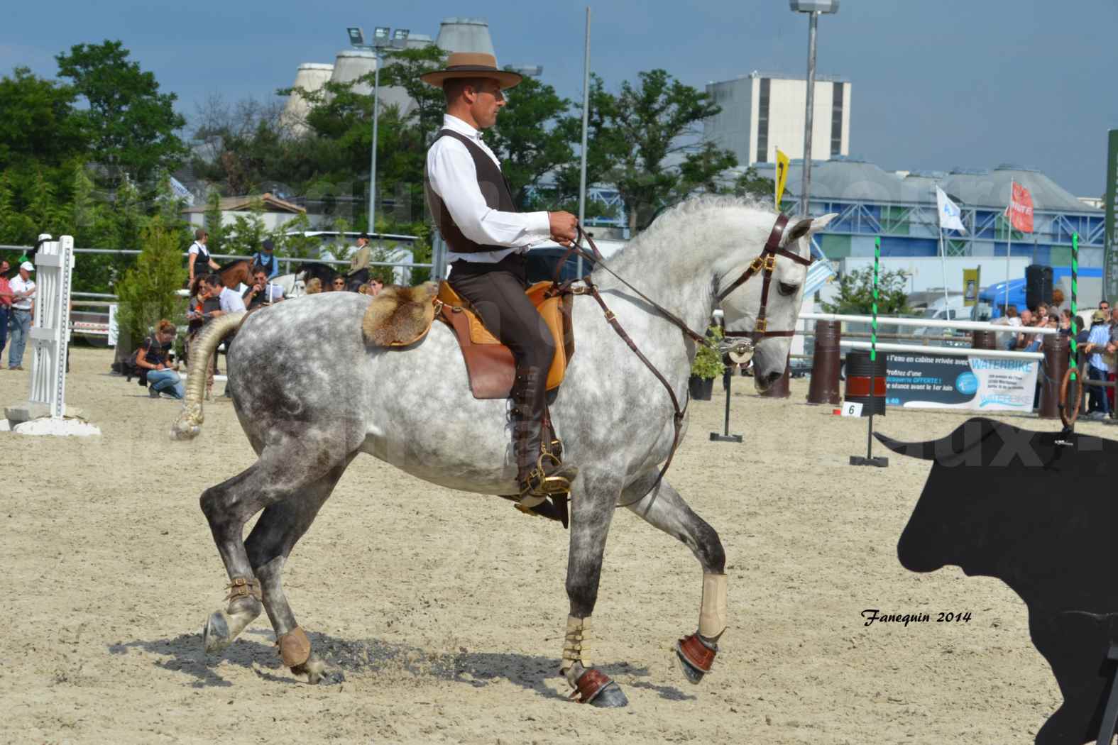 Salon Equitaine de Bordeaux en 2014 - concours Equitation de travail - Épreuve de Maniabilité chronométré - P - 03