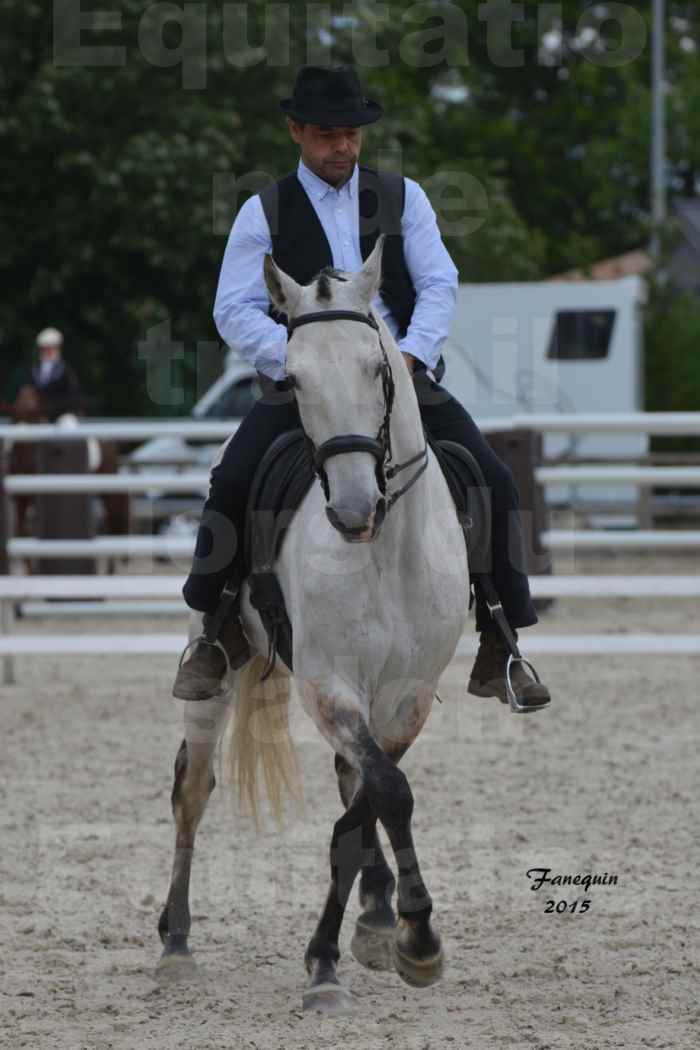 Salon Equitaine de Bordeaux 2015 - Concours d'Equitation de Travail avec chevaux Ibériques - M - 1