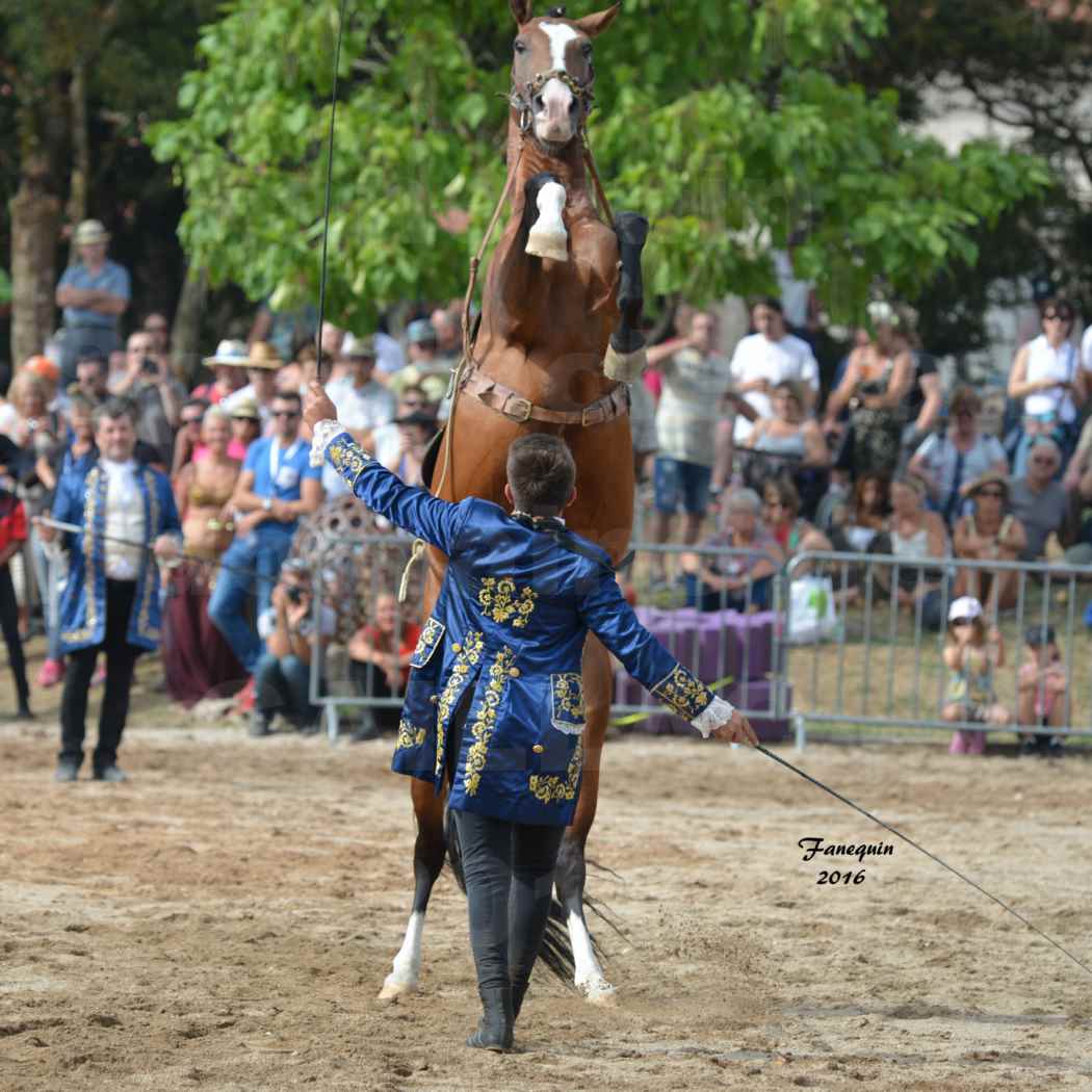 Spectacle équestre le 3 Septembre 2016 au Domaine de GAILLAC - Haute école avec la famille HASTALUEGO - 10