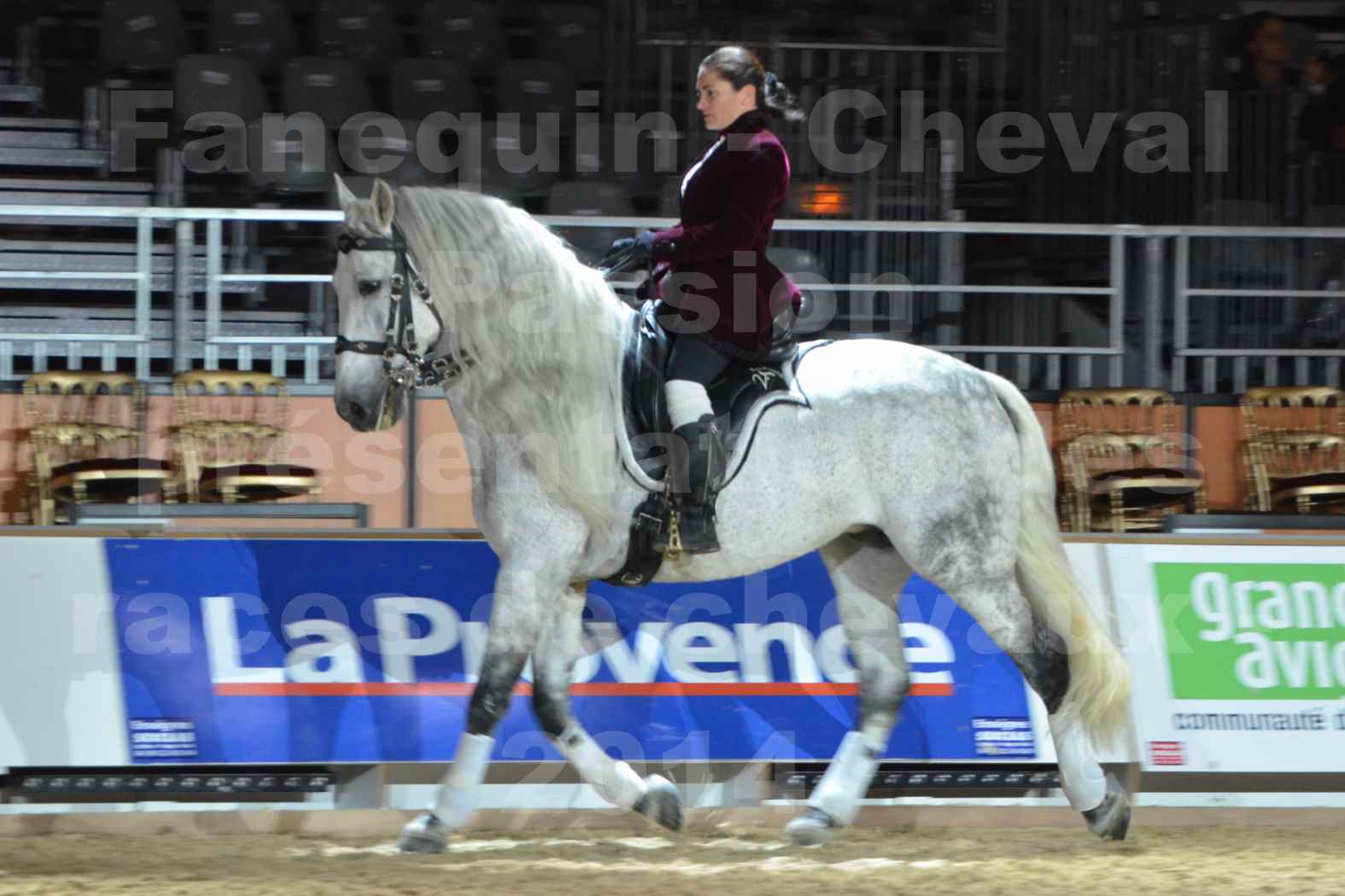 Cheval Passion 2014 - Frédériq VIGNE - Notre Sélection - 09