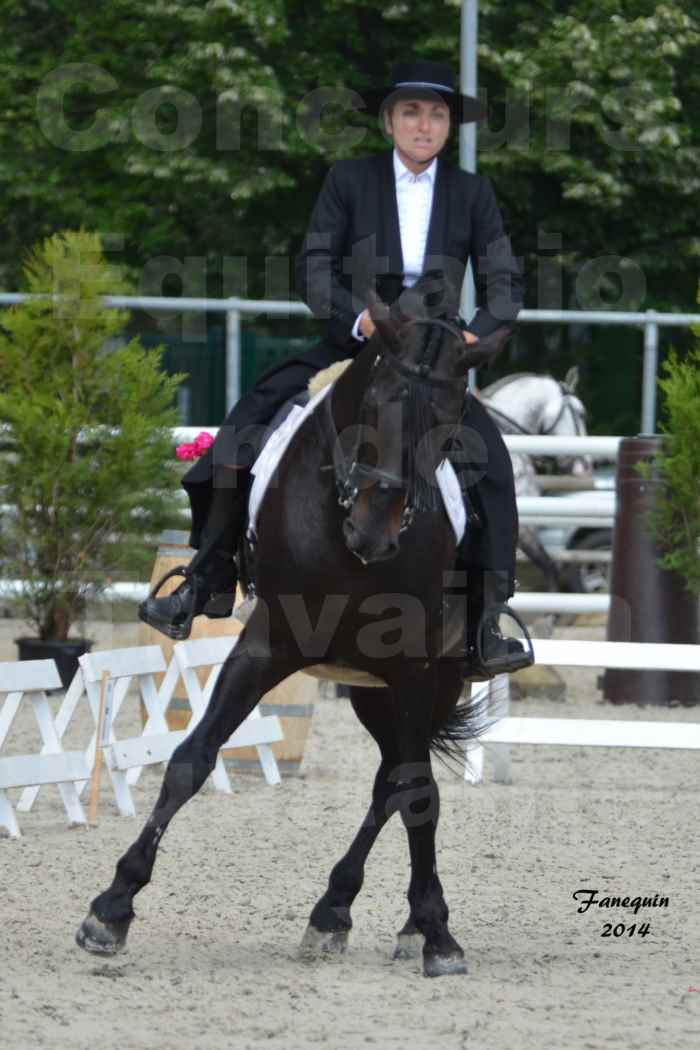 Salon Equitaine de Bordeaux en 2014 - concours Equitation de travail - Épreuve de Dressage - 07