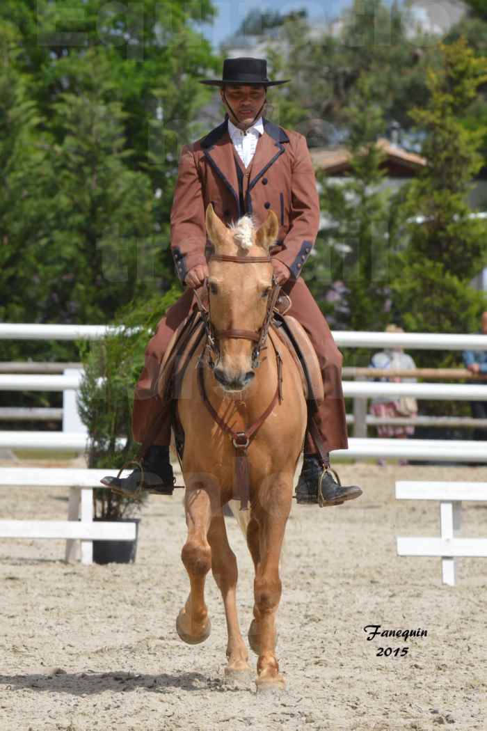 Salon Equitaine de Bordeaux 2015 - Concours d'Equitation de Travail avec chevaux Ibériques - T - 1