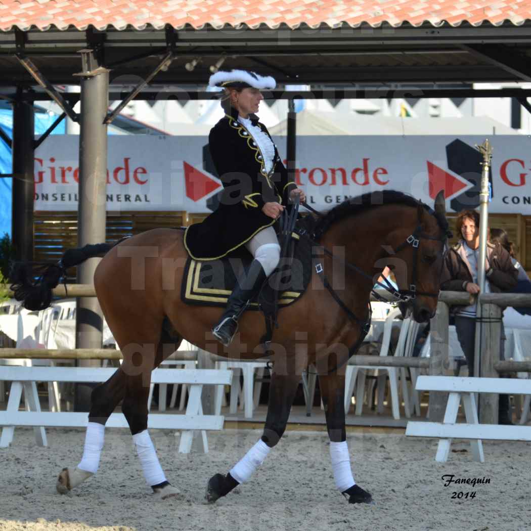 Carrousel de cavalières Equitation de travail lors du salon "Equitaine" à Bordeaux en 2014 - 24