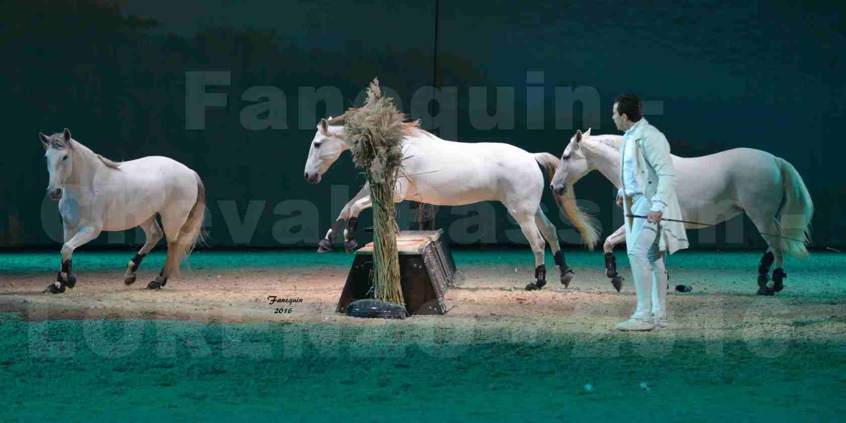 Cheval Passion 2016 - Spectacle les Crinières d'OR - LORENZO "Blanc" - représentation du 20 janvier 2016 - 09