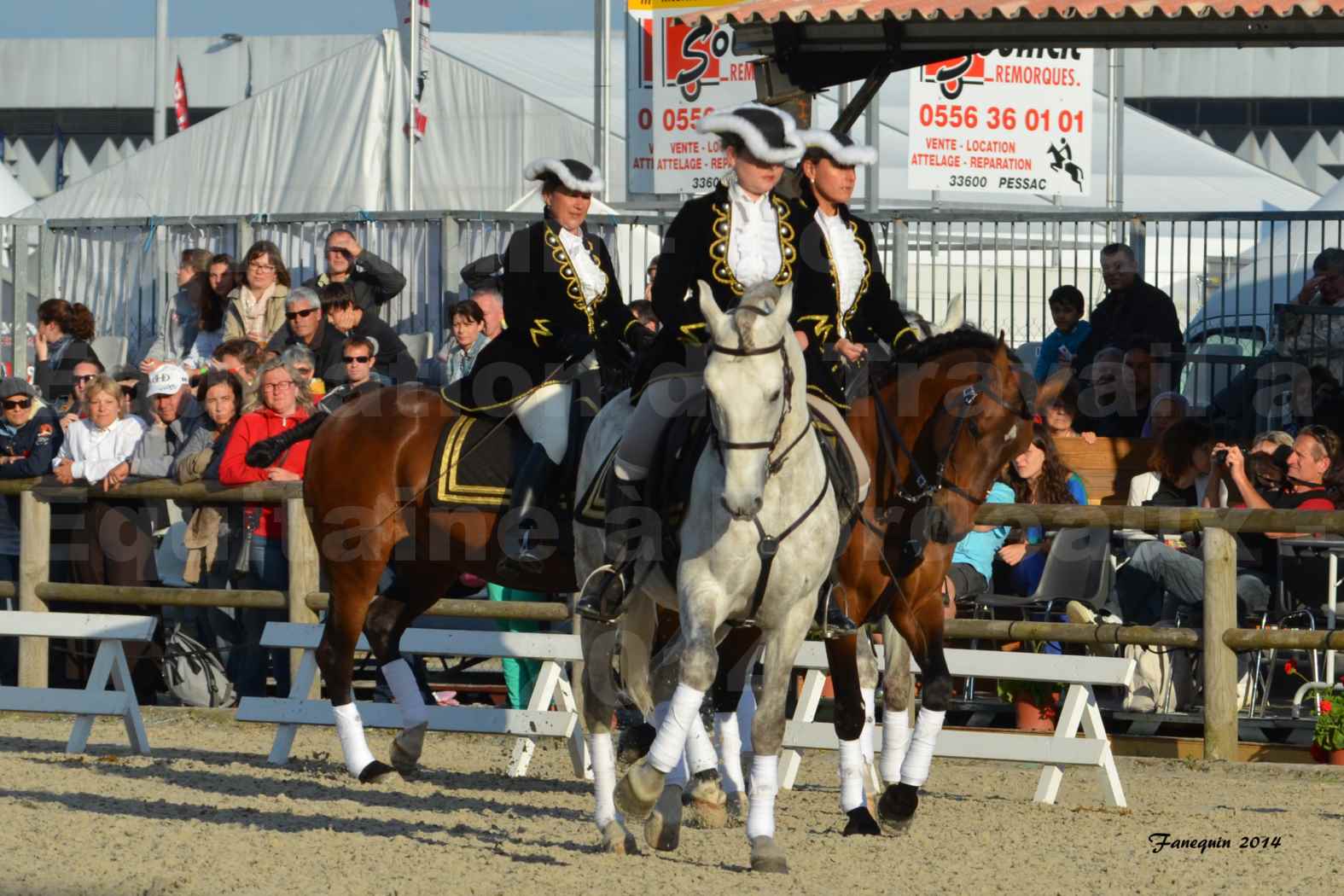 Carrousel de cavalières Equitation de travail lors du salon "Equitaine" à Bordeaux en 2014 - 19