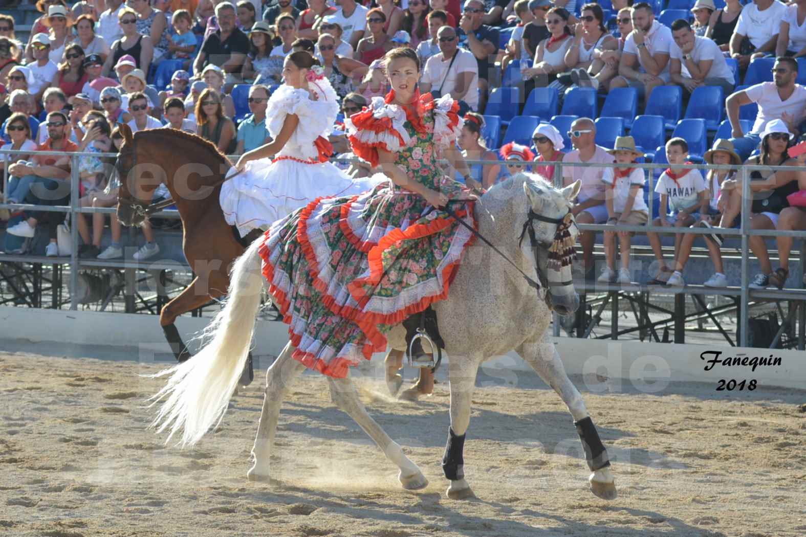 Spectacle en journée des "Nuits Équestres"  de la Féria de BÉZIERS 2018 - Mercredi 15 Août - Carrousel de Cavalières - 06