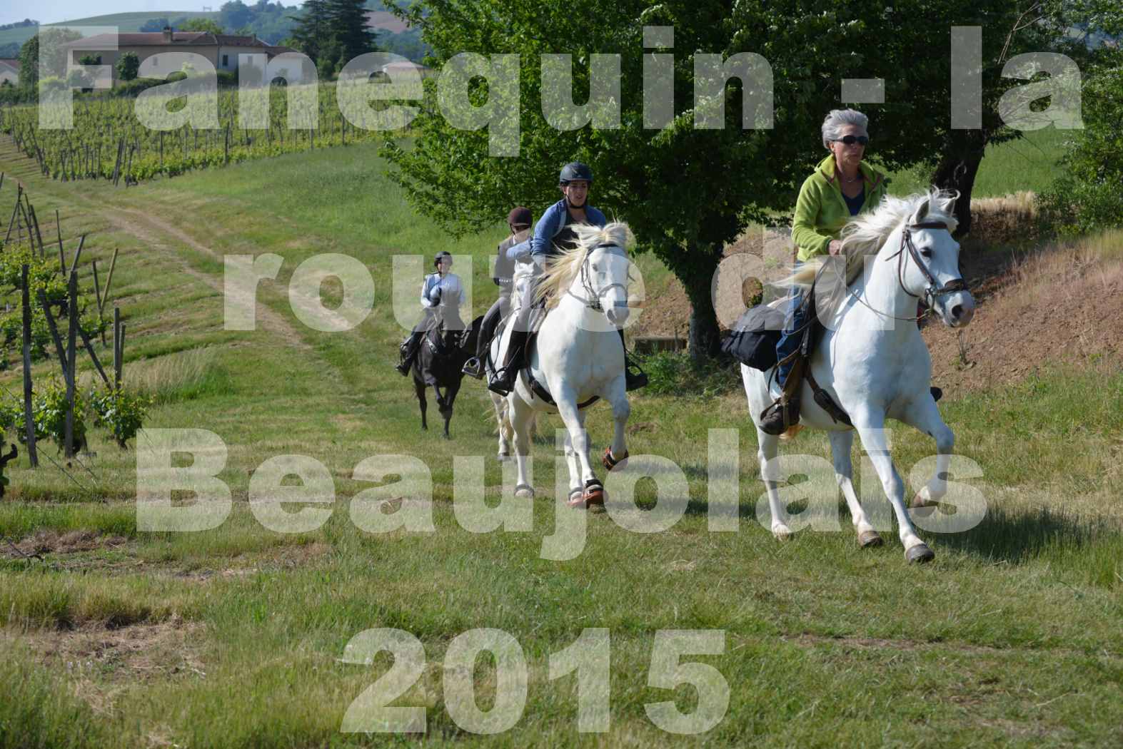 La Route Du Beaujolais 2015 - dimanche 24 mai 2015 - parcours en matinée - 16