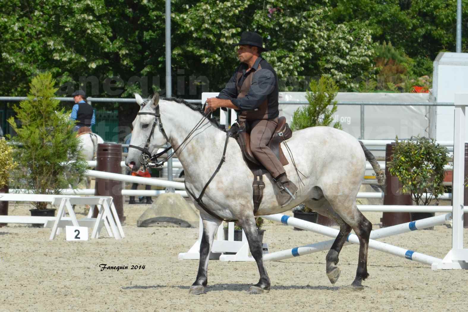 Salon Equitaine de Bordeaux en 2014 - concours Equitation de travail - Épreuve de Maniabilité chronométré - L - 4