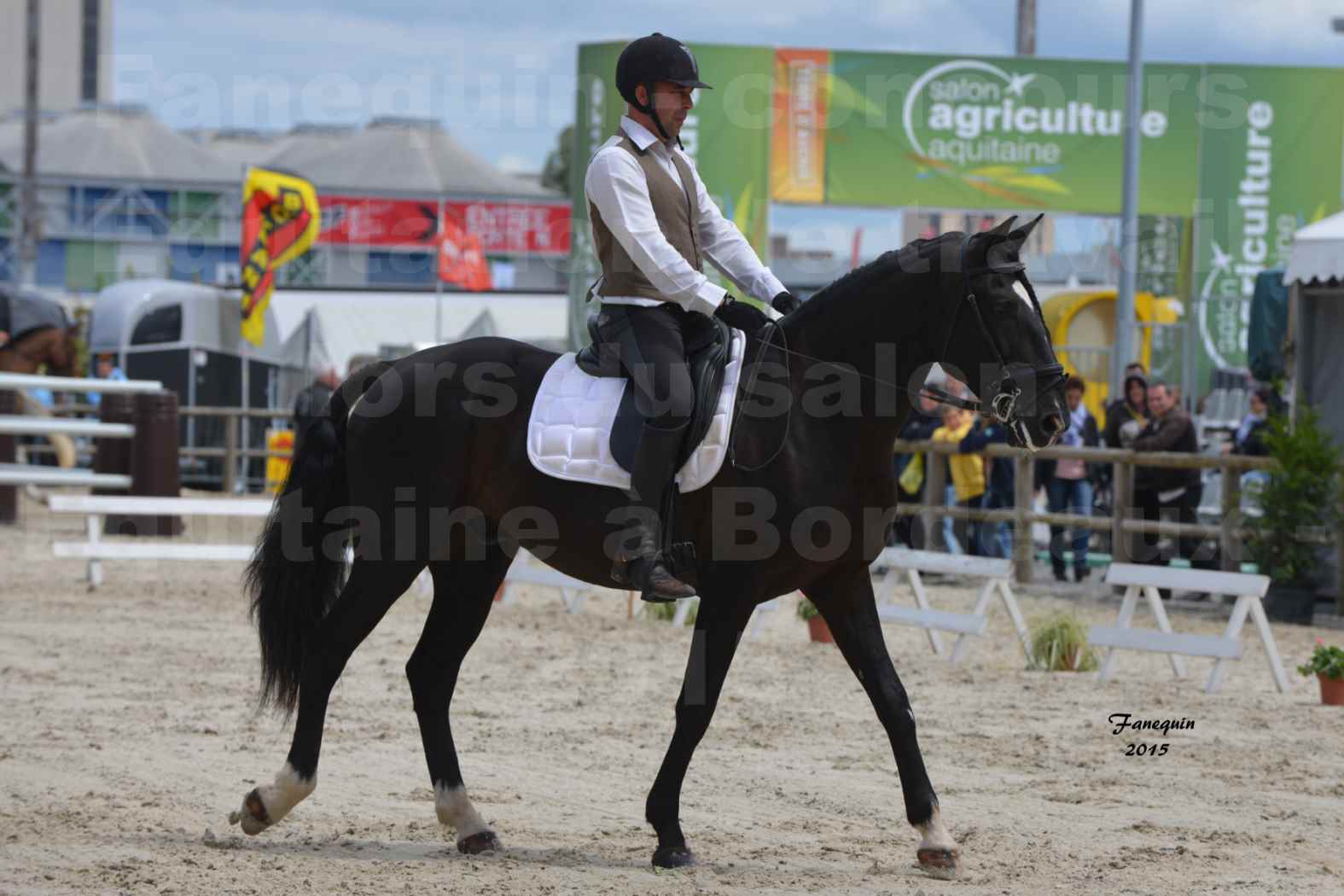 Salon Equitaine de Bordeaux 2015 - Concours d'Equitation de Travail avec chevaux Ibériques - M - 4