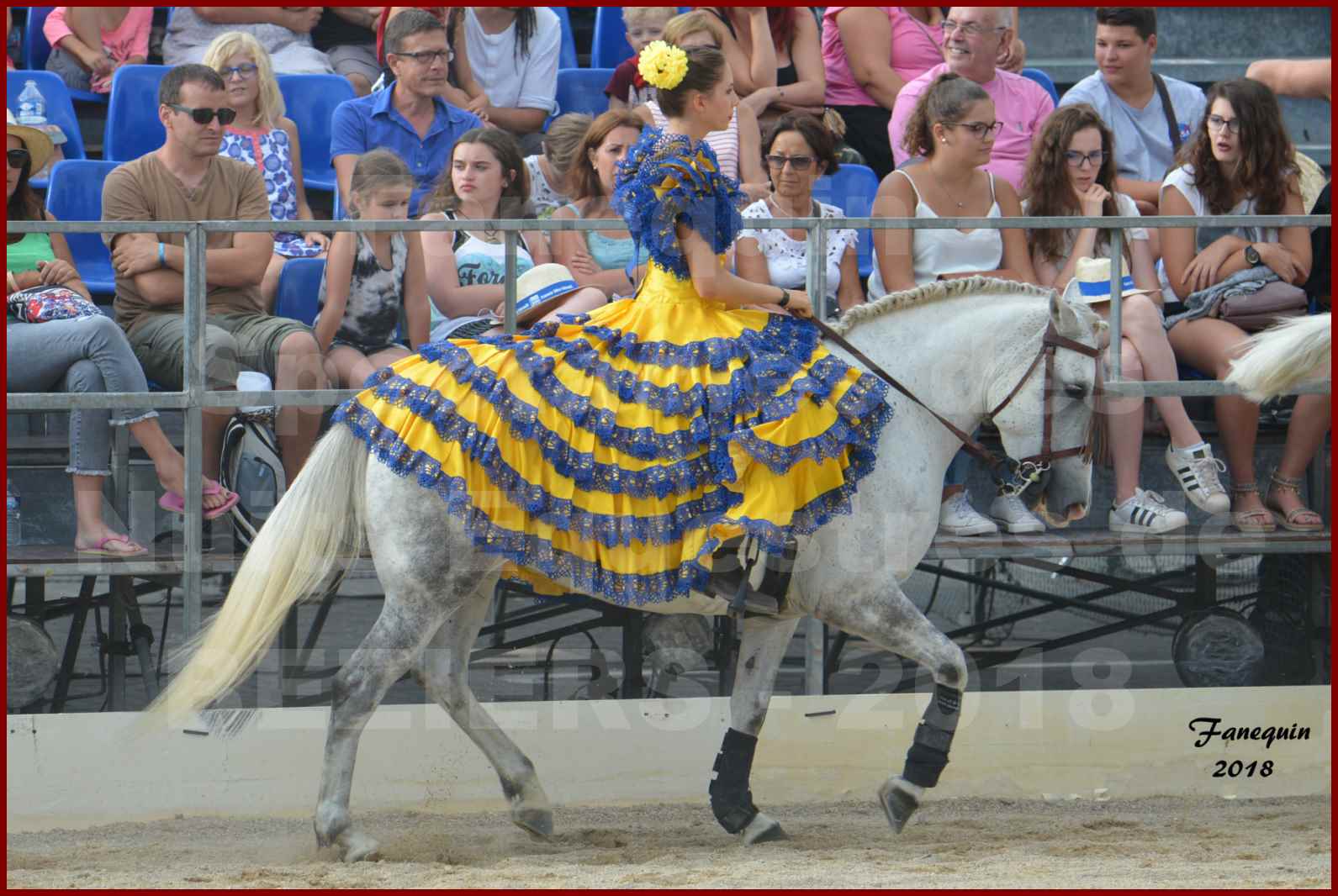 Spectacle en journée des "Nuits Équestres"  de la Féria de BÉZIERS 2018 - Lundi 13 Août - Carrousel de Cavalières - 04