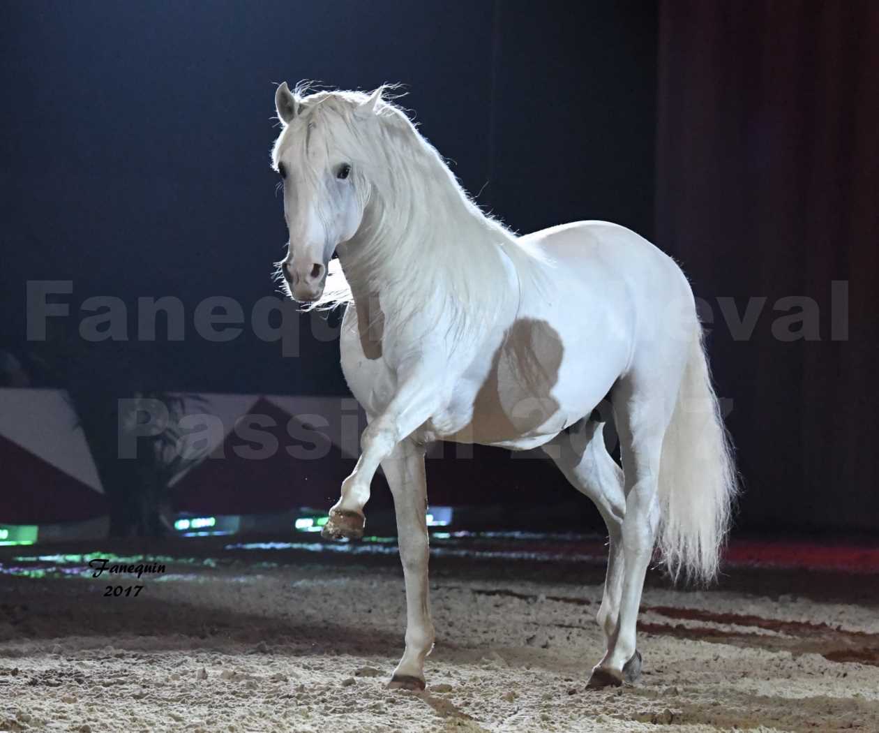 Cheval Passion 2017 - gala des Crinières d'OR - GARI ZOHER - 16