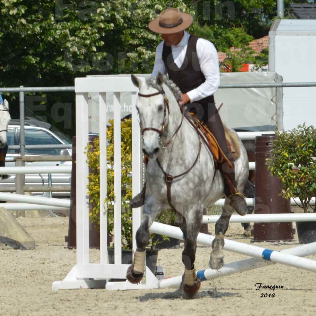 Salon Equitaine de Bordeaux en 2014 - concours Equitation de travail - Épreuve de Maniabilité chronométré - P - 37