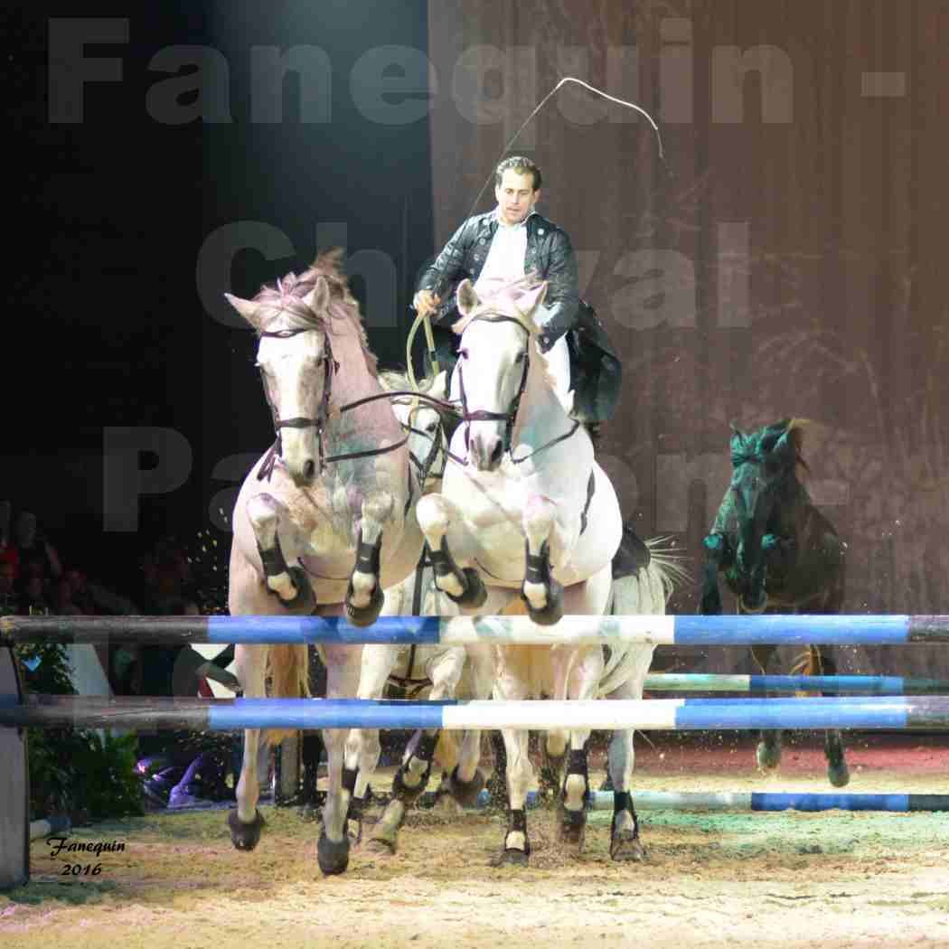 Cheval Passion 2016 - Spectacle les Crinières d'OR - LORENZO "Noir" - représentation du 23 janvier 2016 - 07