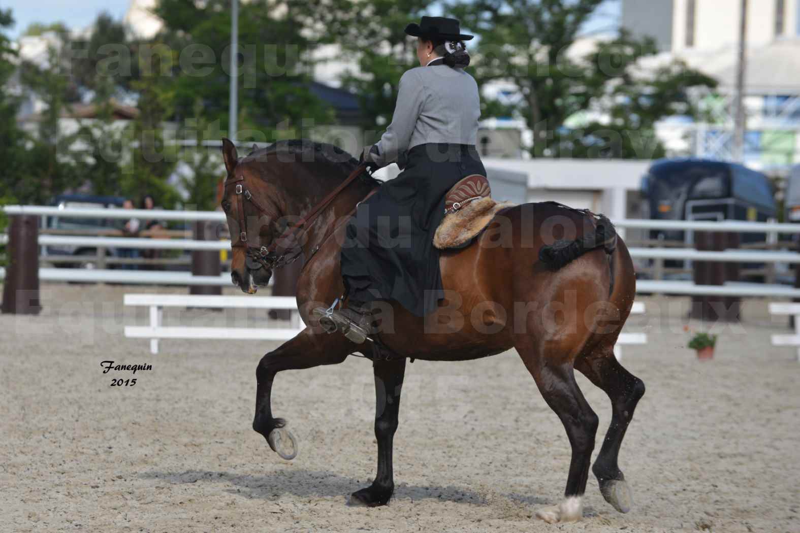 Salon Equitaine de Bordeaux 2015 - Concours d'Equitation de Travail avec chevaux Ibériques - C - 3