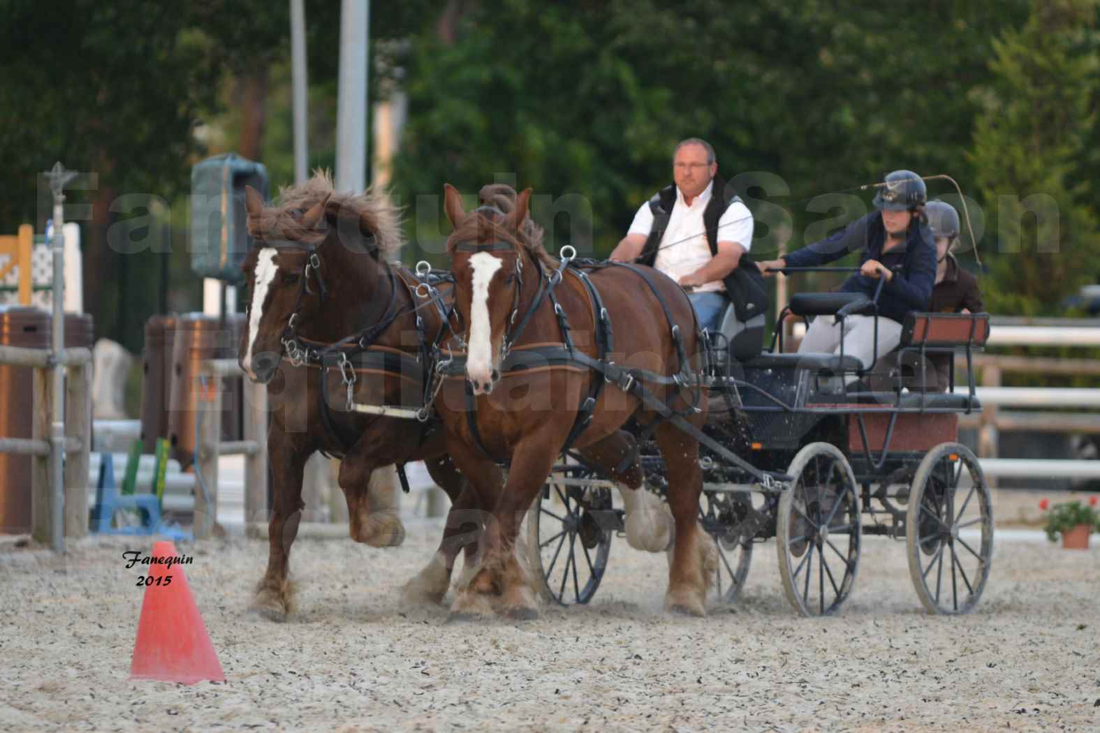 Salon Equitaine de Bordeaux 2015 - Présentation attelage en paire chevaux de trait - 3