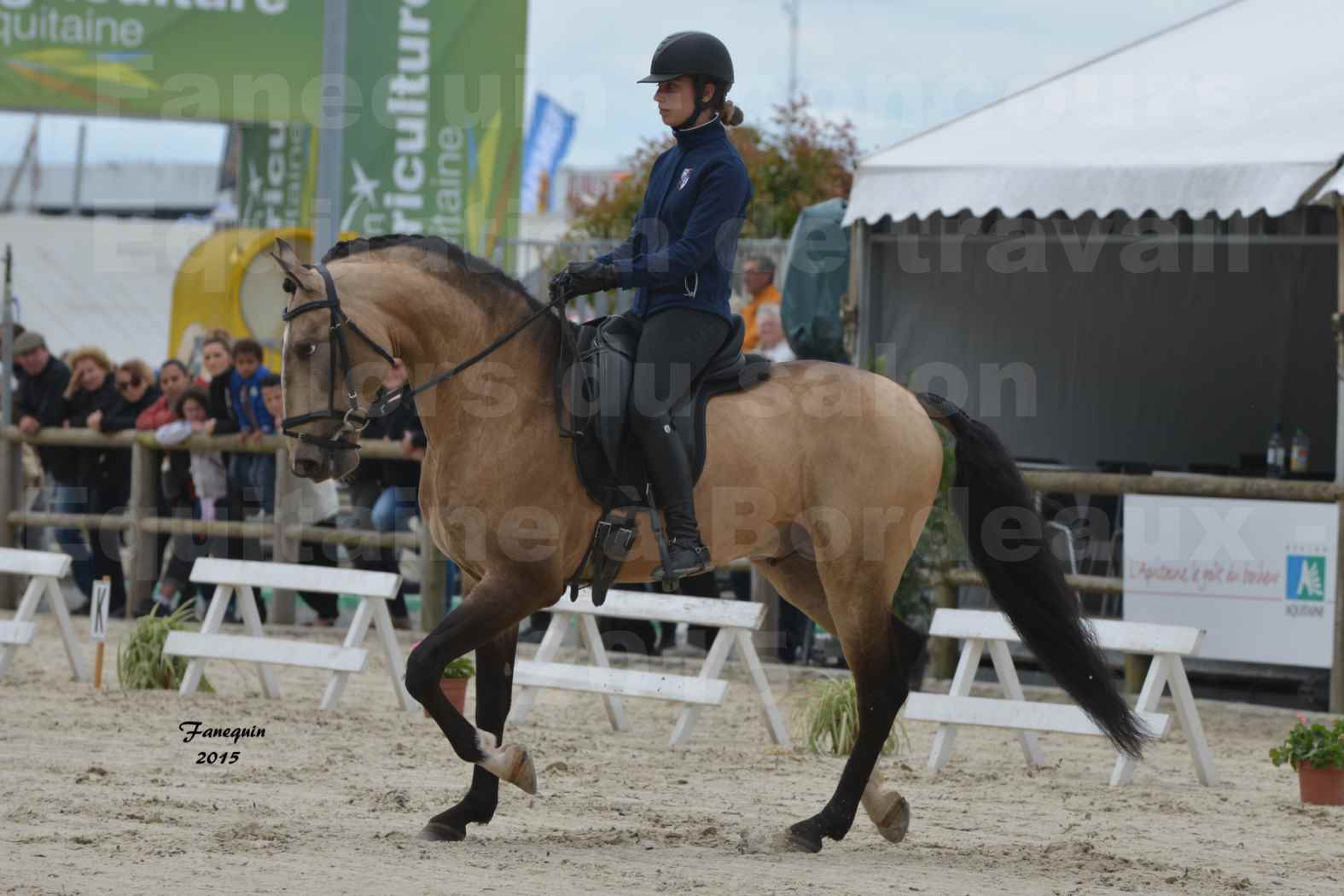 Salon Equitaine de Bordeaux 2015 - Concours d'Equitation de Travail avec chevaux Ibériques - R - 1