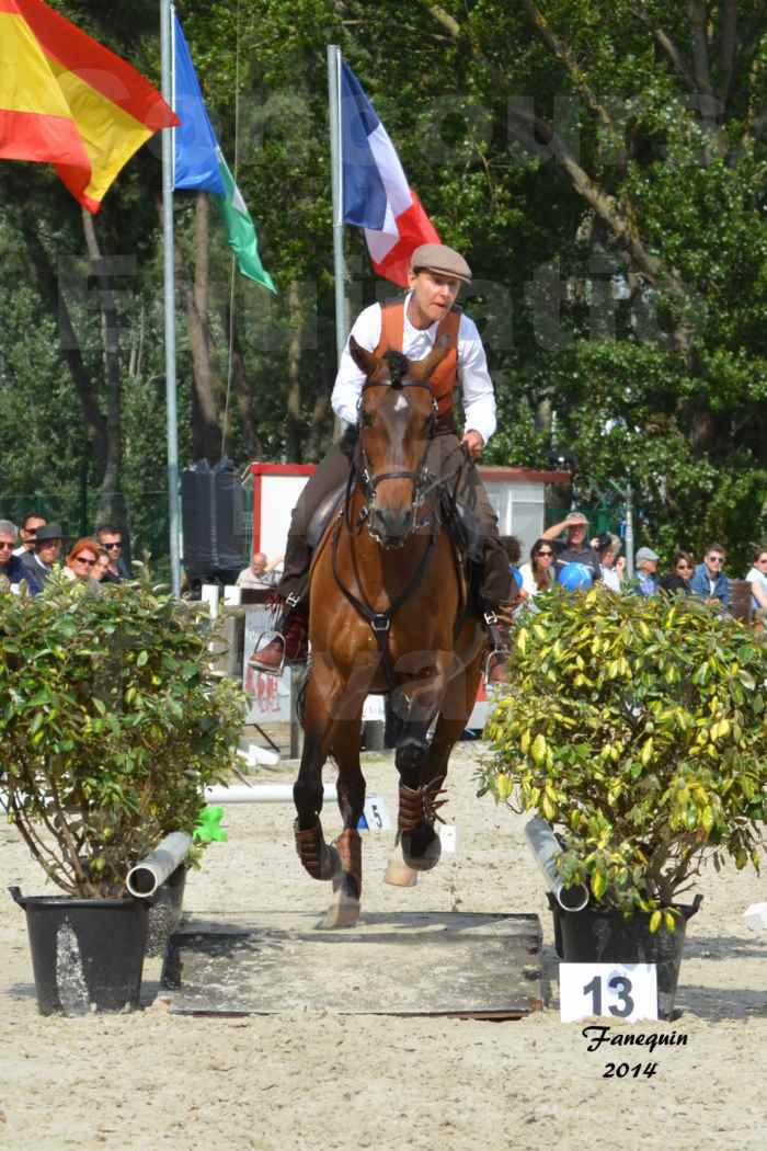 Salon Equitaine de Bordeaux en 2014 - concours Equitation de travail - Épreuve de Maniabilité chronométré - N - 10