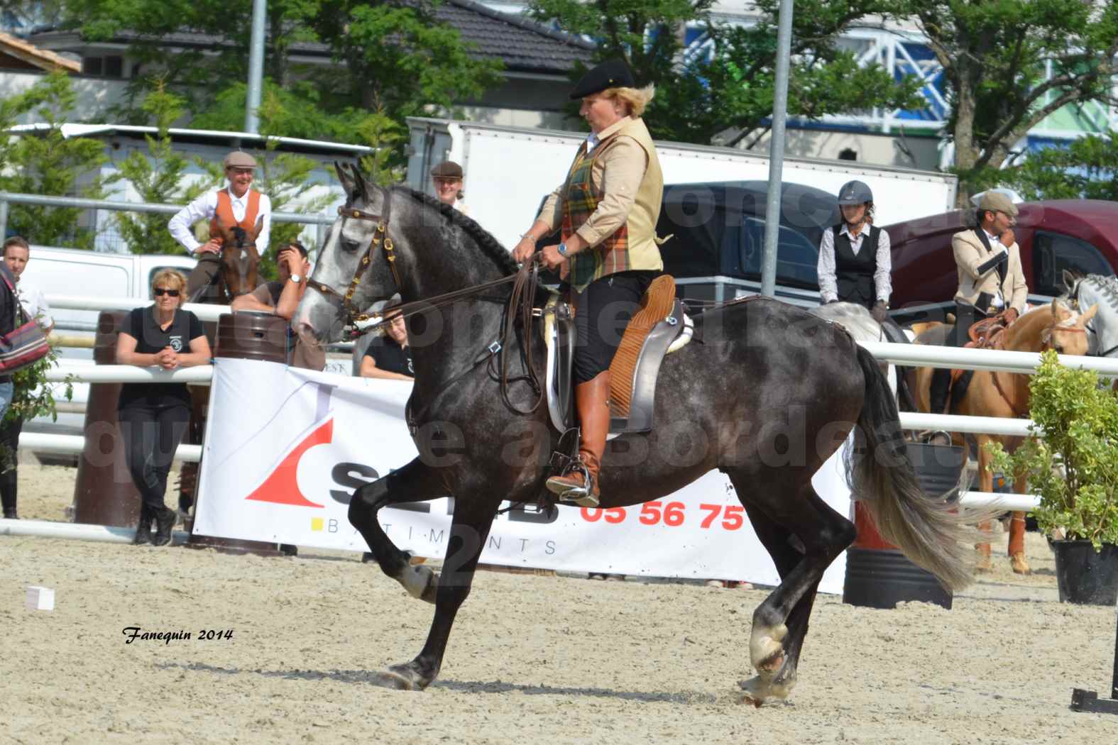 Salon Equitaine de Bordeaux en 2014 - concours Equitation de travail - Épreuve de Maniabilité chronométré - F - 02