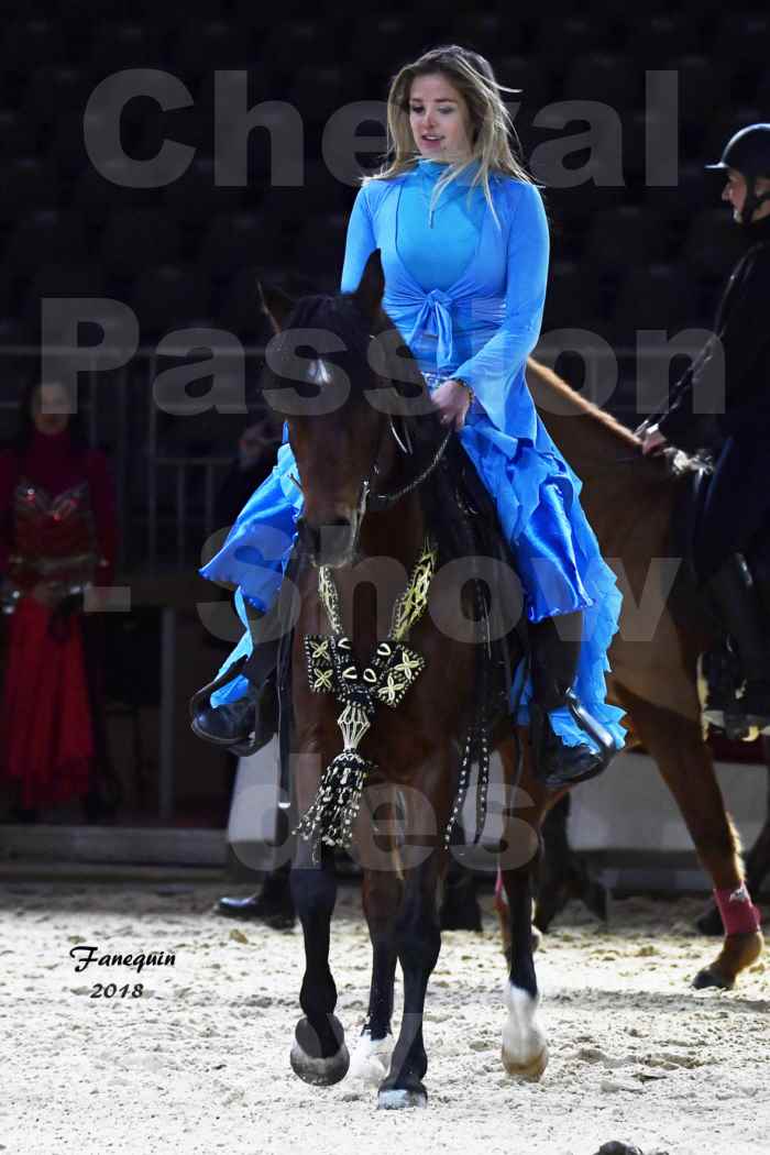 Cheval passion 2018 - Show des éleveurs - Chevaux ARABES - Notre Sélection - 14