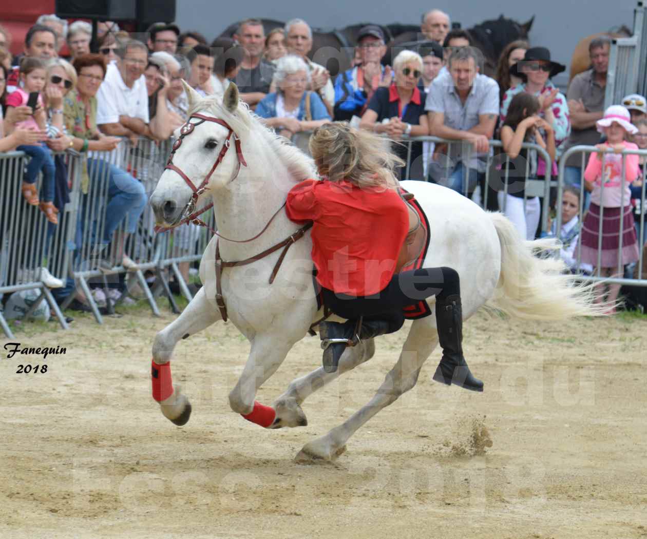 Spectacle Équestre le 3 juin 2018 à Saint Gély du Fesc - Voltige équestre - Troupe de Jean Antoine FIRMIN - 28