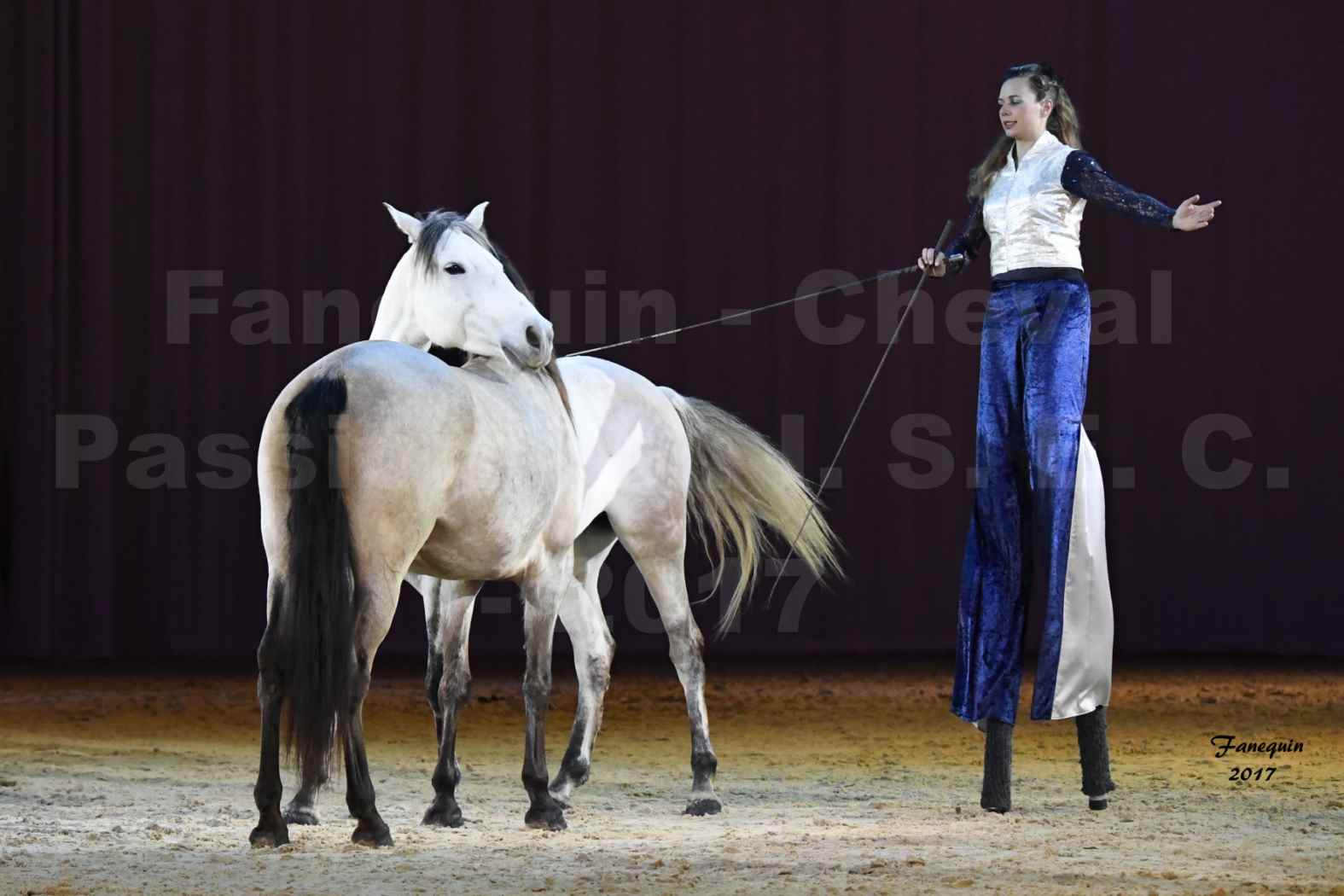 Cheval Passion 2017 - M. I. S. E. C. - Lucie VAUTHIER & 3 chevaux en liberté - 06