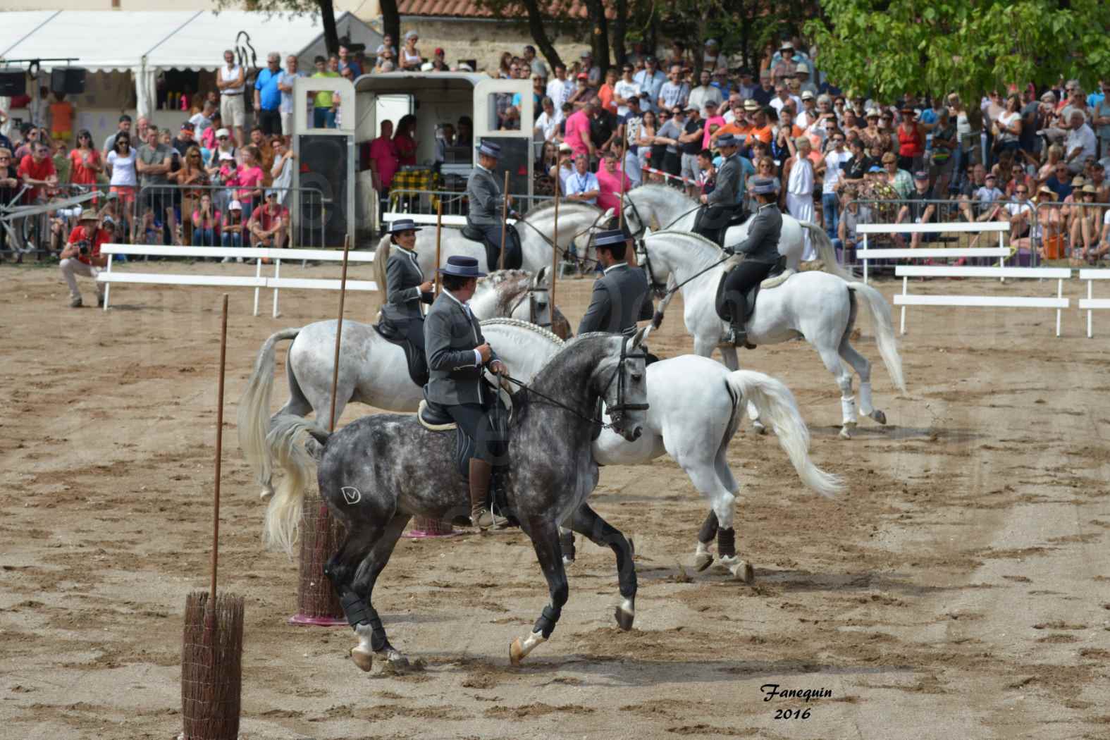 Spectacle équestre le 4 Septembre 2016 au Domaine de GAILLAC - Démonstration de CARROUSEL de chevaux LUSITANIENS - 03