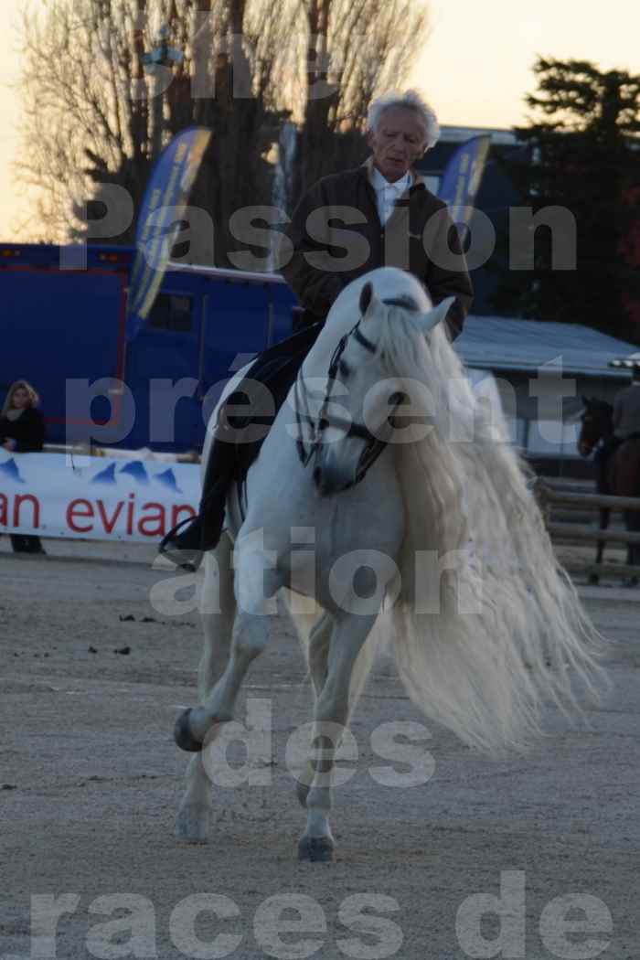 Cheval Passion 2014 - Etalon "GALAN"  blanc écurie Alain LAUZIER - Notre Sélection - 39