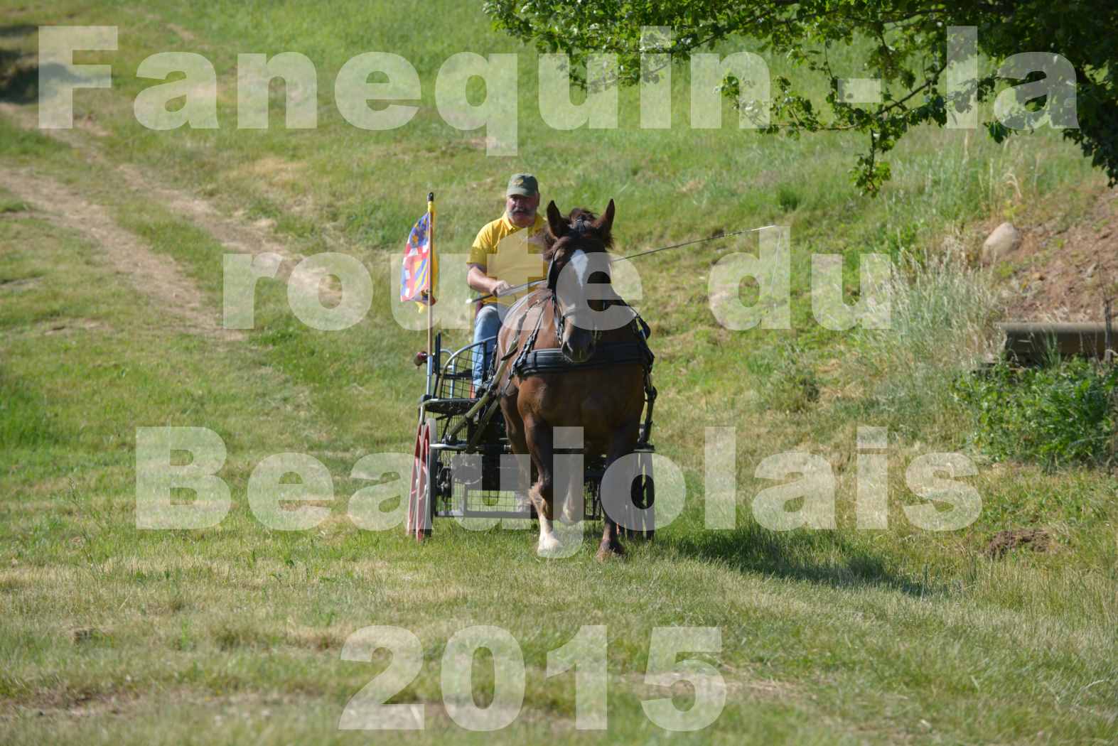 La Route Du Beaujolais 2015 - dimanche 24 mai 2015 - parcours en matinée - 18