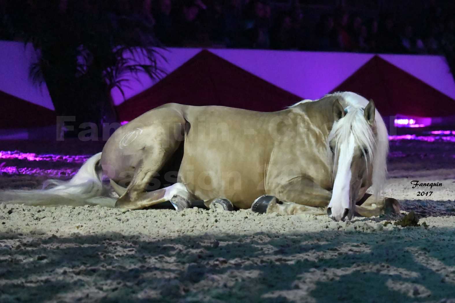 Cheval Passion 2017 - gala des Crinières d'OR - GARI ZOHER - 04