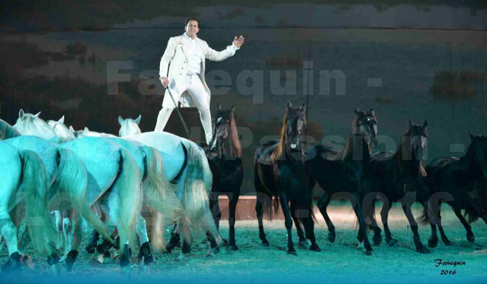 Cheval Passion 2016 - Spectacle les Crinières d'OR - LORENZO "Blanc" - représentation du 20 janvier 2016 - 26