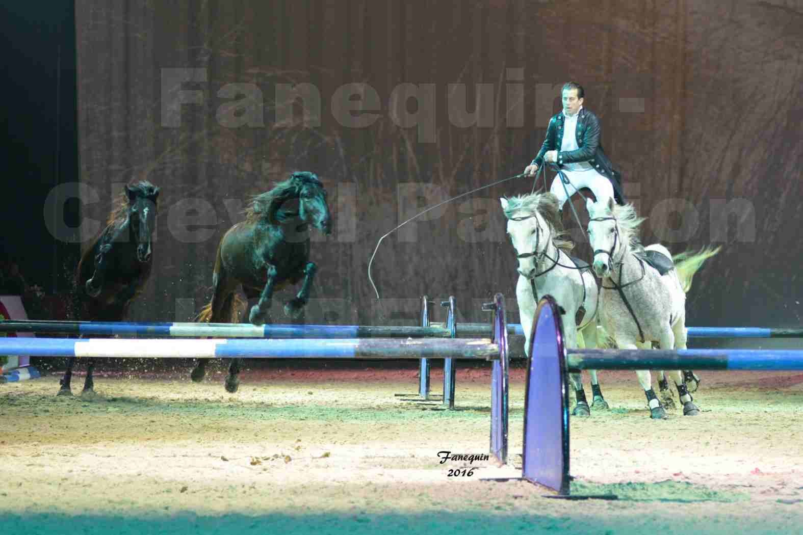 Cheval Passion 2016 - Spectacle les Crinières d'OR - LORENZO "Noir" - représentation du 23 janvier 2016 - 22