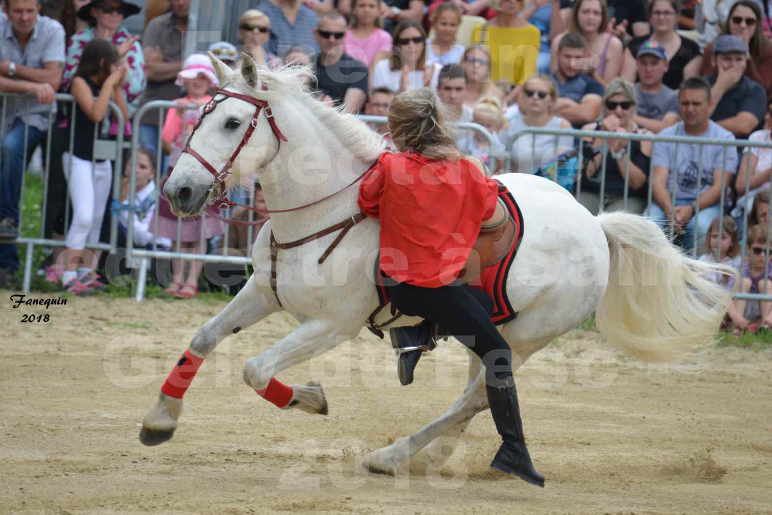 Spectacle Équestre le 3 juin 2018 à Saint Gély du Fesc - Voltige équestre - Troupe de Jean Antoine FIRMIN - 26