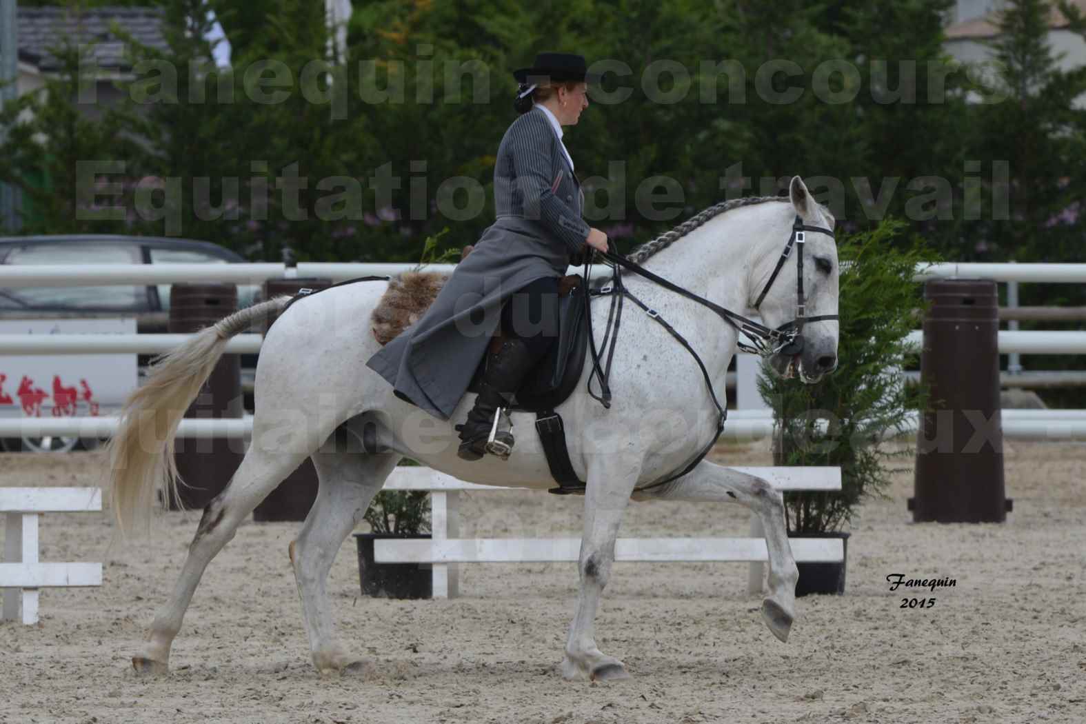 Salon Equitaine de Bordeaux 2015 - Concours d'Equitation de Travail avec chevaux Ibériques - W - 2