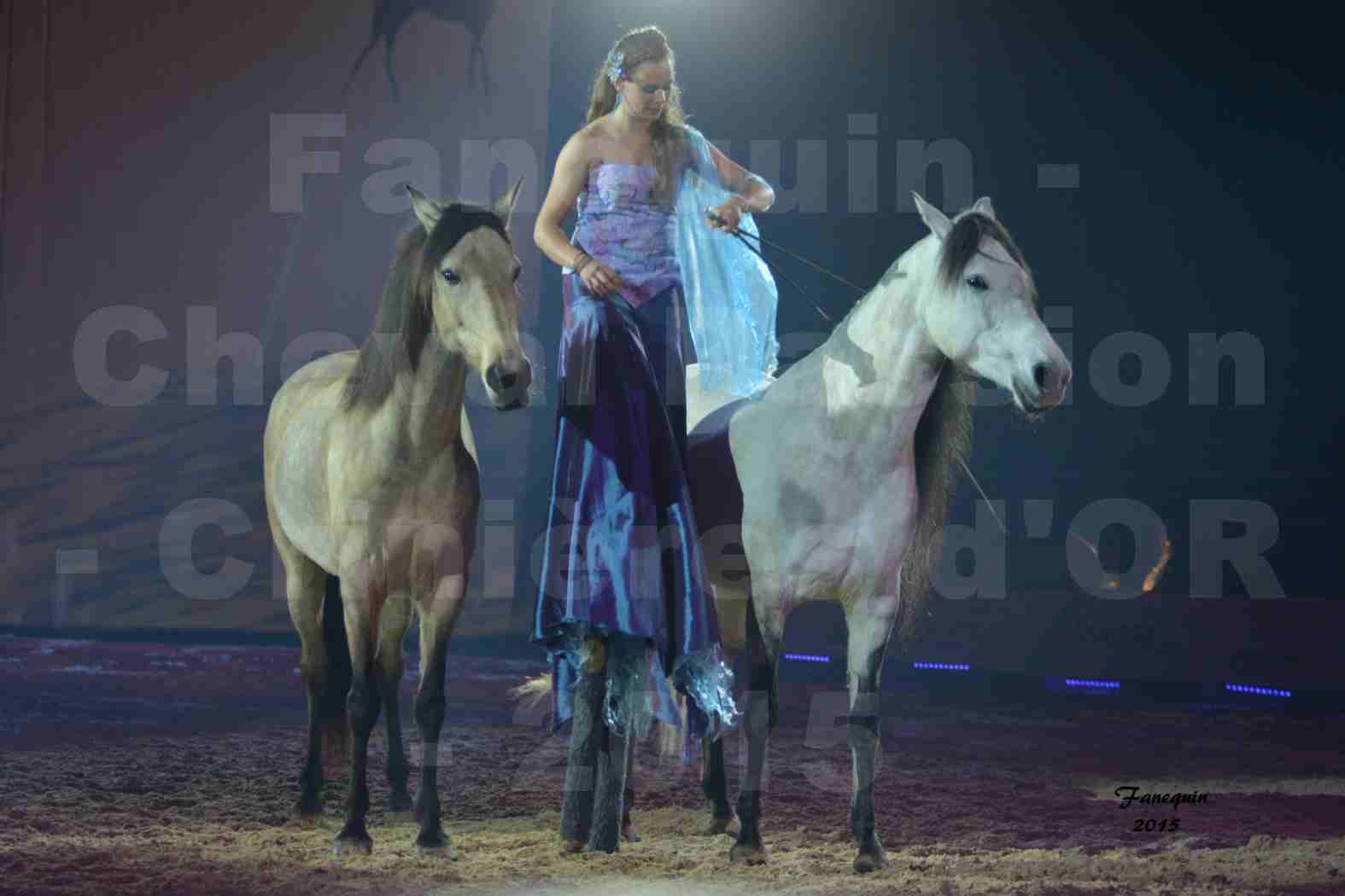 Cheval Passion 2015 - Spectacle des Crinières d'OR - Lucie VAUTHIER & 2 chevaux en liberté - 13