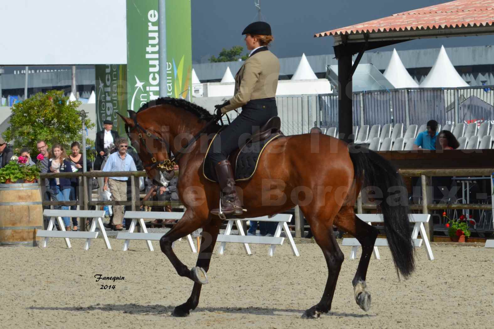 Salon Equitaine de Bordeaux en 2014 - concours Equitation de travail - Épreuve de Dressage - 05