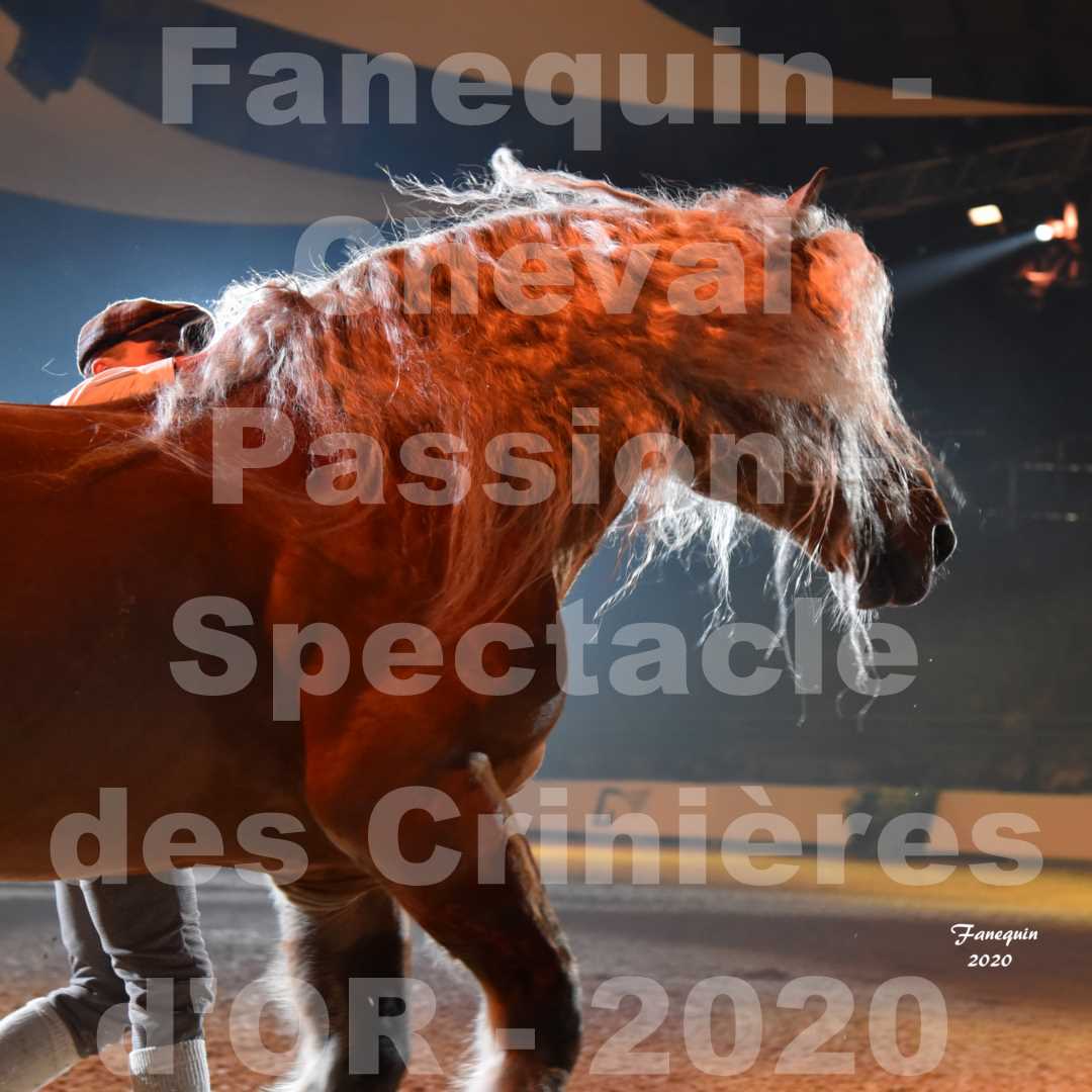 Cheval Passion 2020 - Les Crinières d'OR - Samuel HAFRAD & Jérôme SEFER - 07