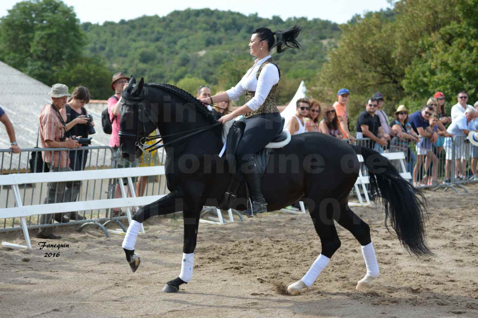 Spectacle équestre le 3 Septembre 2016 au Domaine de GAILLAC - Cavalières HASTALUEGO en reprise - 7