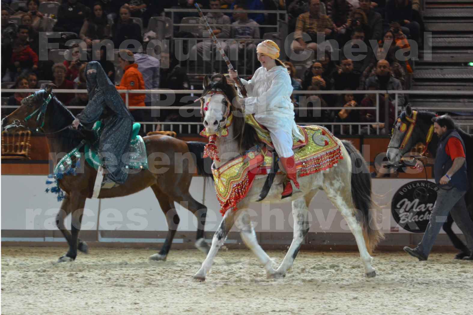 Cheval Passion 2014 - Chevaux BARBES - Notre Sélection - 10