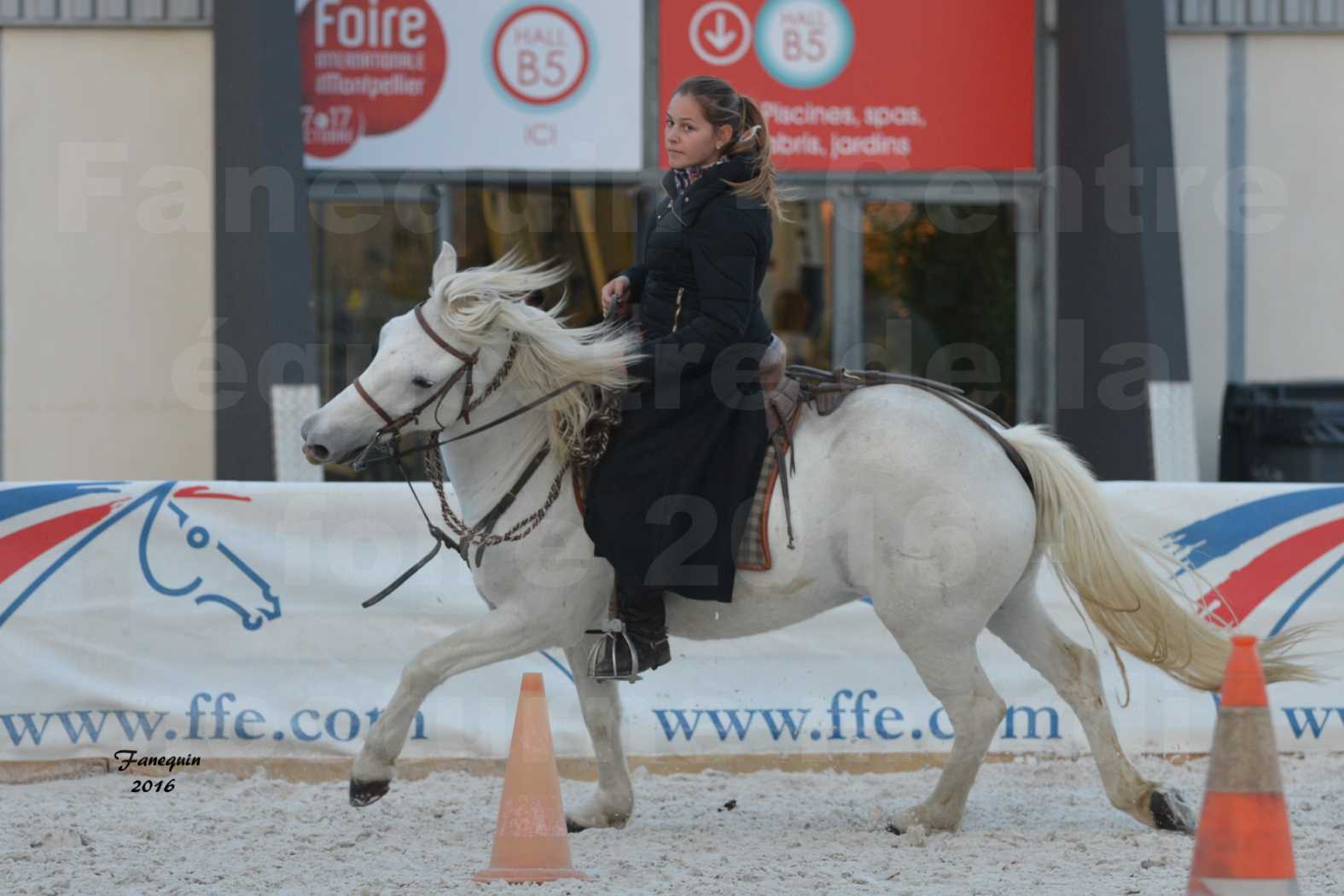 Centre équestre éphémère de la Foire de Montpellier 2016 - Mardi 11 Octobre 2016 - Spectacle Nocturne - 27