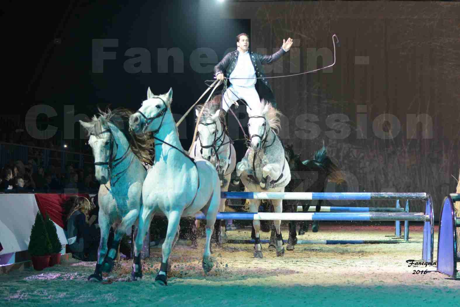 Cheval Passion 2016 - Spectacle les Crinières d'OR - LORENZO "Noir" - représentation du 23 janvier 2016 - 11