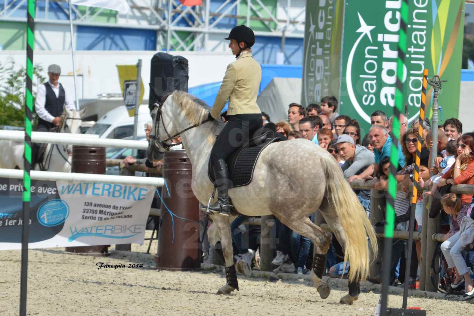 Salon Equitaine de Bordeaux en 2014 - concours Equitation de travail - Épreuve de Maniabilité chronométré - B - 09